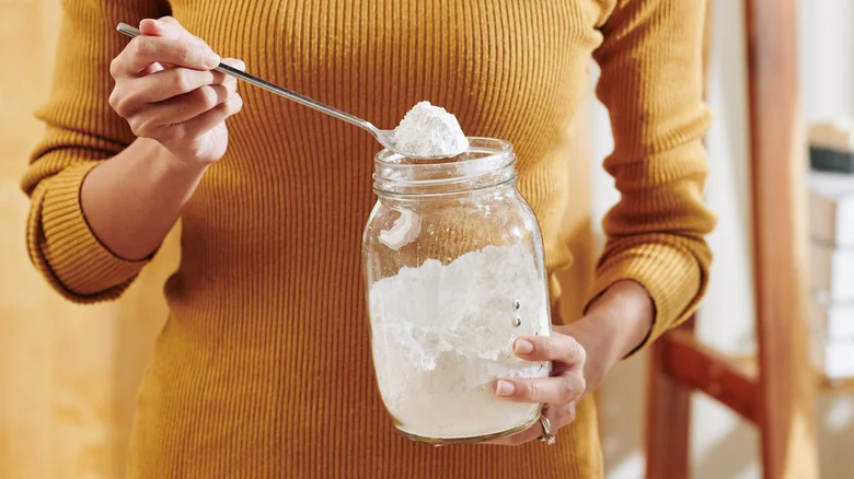 10 Common Home And Garden Pests Baking Soda Can Repel