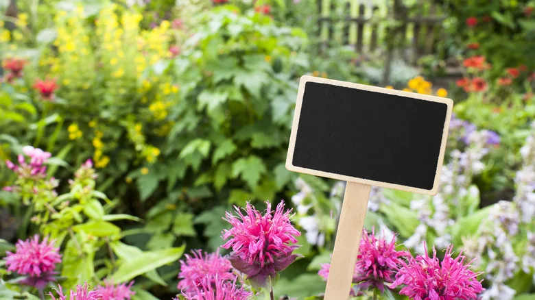 10 DIY Garden Sign Ideas To Add Whimsy To Your Yard
