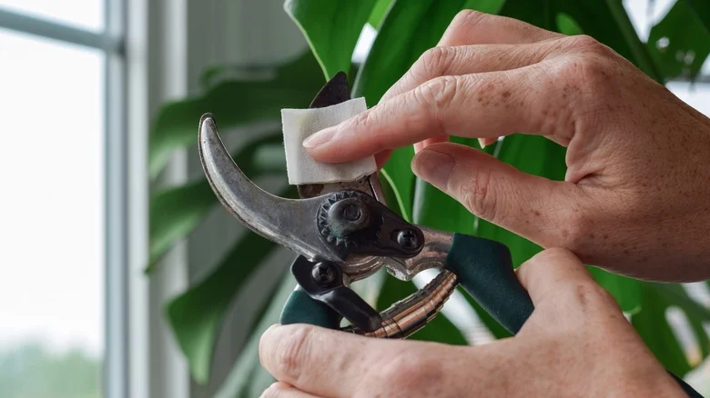 10 Genius Hacks To Remove Rust From Your Garden Tools