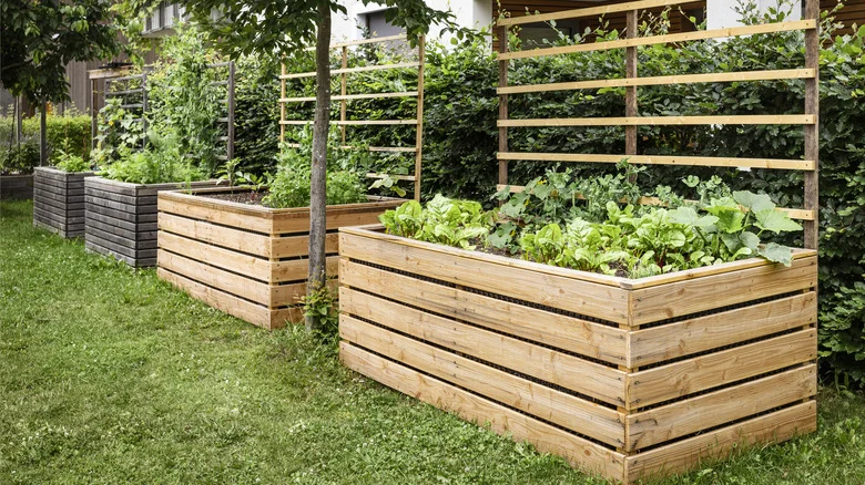 10 Items That You Shouldn’t Be Filling A Raised Garden Bed With