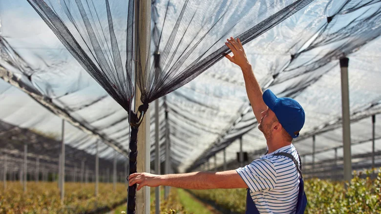 10 Items You Can Reuse To Build Shade On A Budget In Your Garden