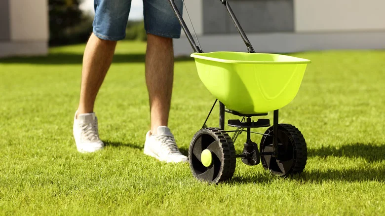 10 Of The Biggest Wastes Of Money You Can Spend On Your Lawn