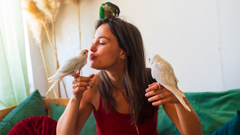 10 Of The Most Colorful Birds You Can Attract To Your Yard In The U.S.