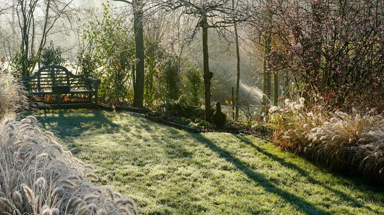 10 Plants That Aren’t Worth The Trouble Of Overwintering