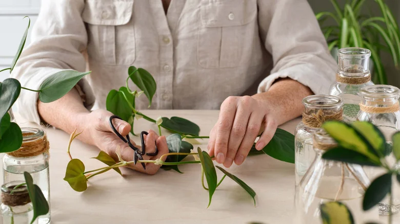 10 Smart Ways To Repurpose Jars For Your Plants And Garden In The Winter