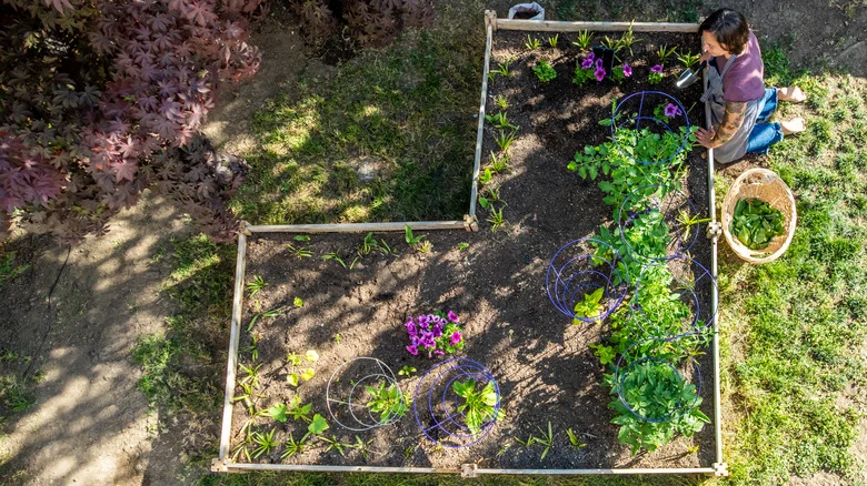 10 Space-Saving Garden Ideas Perfect For Your Small Yard