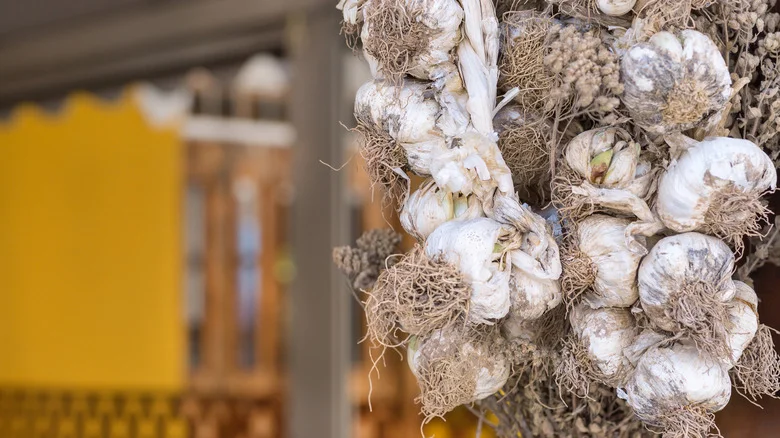 10 Unexpected Ingredients To Place On Your Patio To Repel Pests