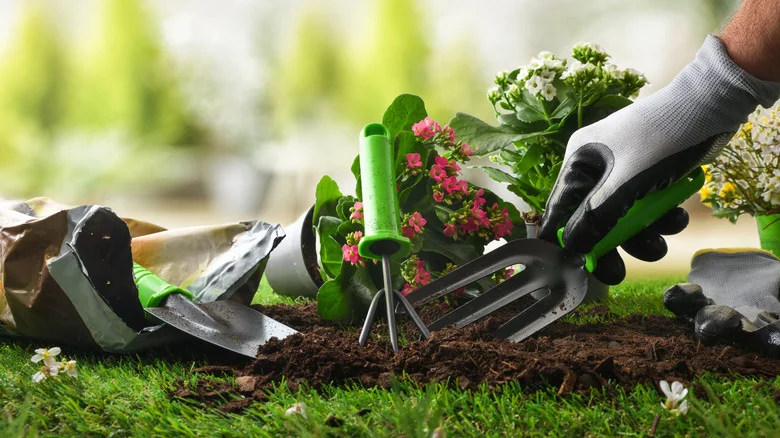 11 Best Amazon Gardening Tools You Can Snag For Under $20