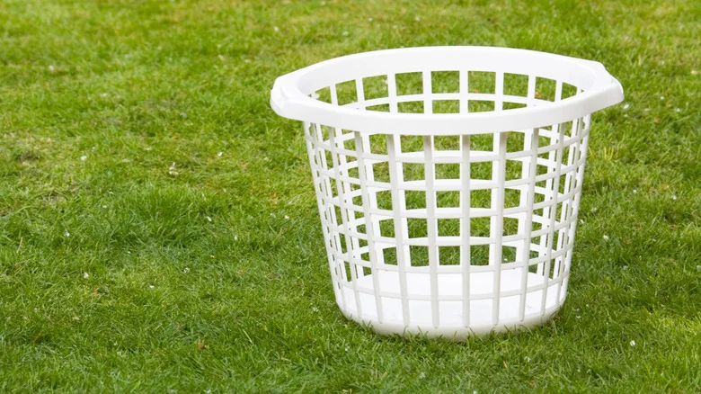 11 Creative Ways To Use A Laundry Basket Around Your Garden