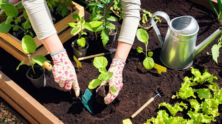 11 Green-Thumb Celebrities You Never Knew Were Avid Gardeners