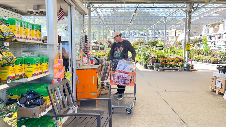 11 Perennials To Fertilize In March For A Jumpstart On Your Spring Garden