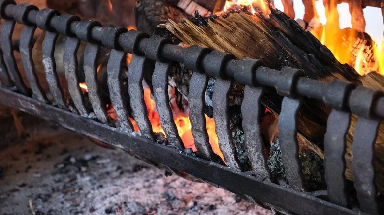 11 Ways To Repurpose Fireplace Ash Around Your Home And Garden (& 1 To Skip)
