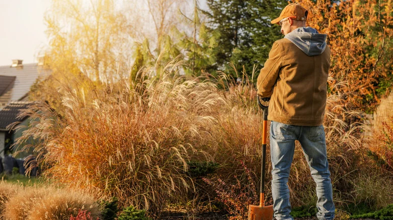 12 Fall Garden Mistakes That Are Hurting Your Perennials’ Chances Of A Successful Spring