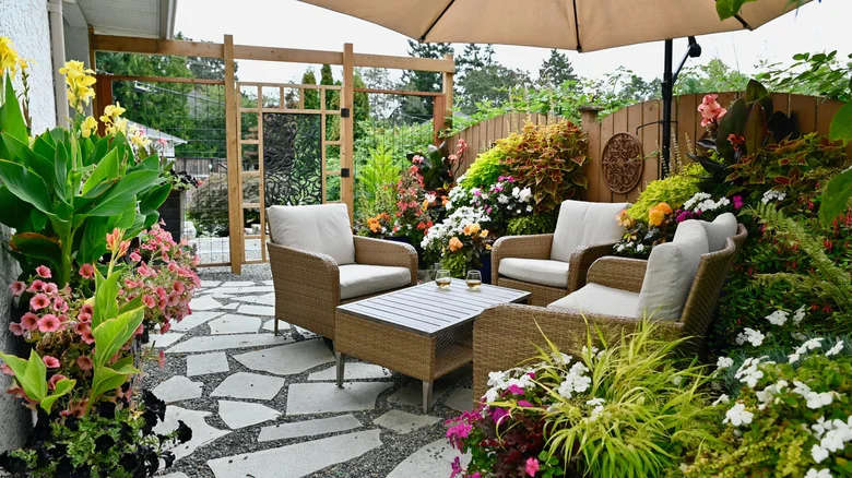 12 Fragrant White Flowers That’ll Make Your Patio Smell Good All Summer Long