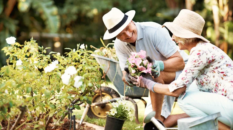 12 Helpful Ways To Make Gardening Safer And Simpler For Older People