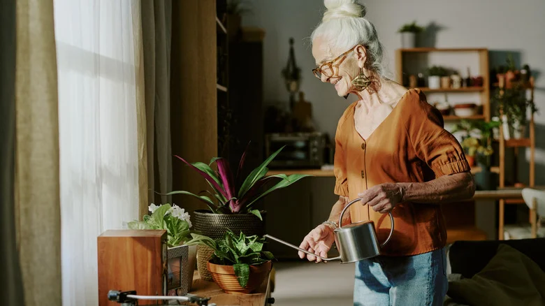 12 Houseplant Watering Hacks You Should Avoid At All Costs
