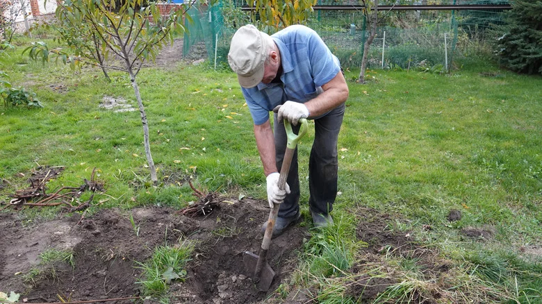 12 Old-School Gardening Habits It’s Time To Let Go Of