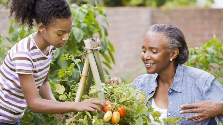 12 Old-School Gardening Tricks You’ll Wish Grandma Told You About