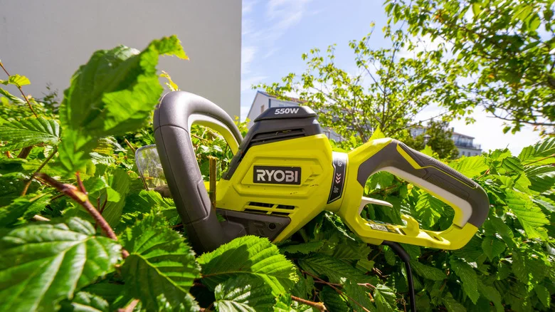 12 Ryobi Gardening Tools That Are Under $100