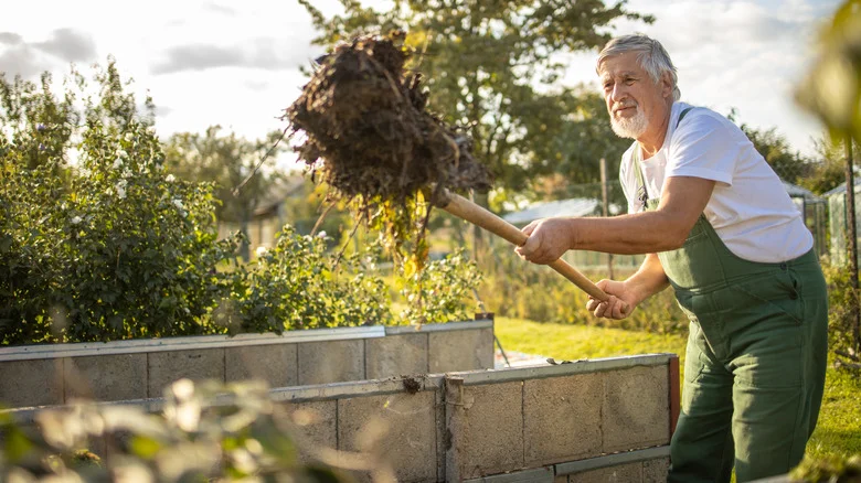 12 Things You Should Never Add To A Compost Heap