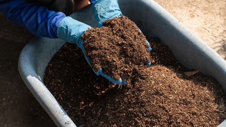 12 Tips For Reusing And Storing Potting Soil So It Doesn’t Go To Waste