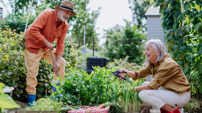12 Tips On How To Winterize Perennials – For Decades Of Flowers