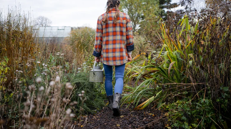 12 Vegetables That Will Grow Year Round In The Garden (& Which Are Easiest)