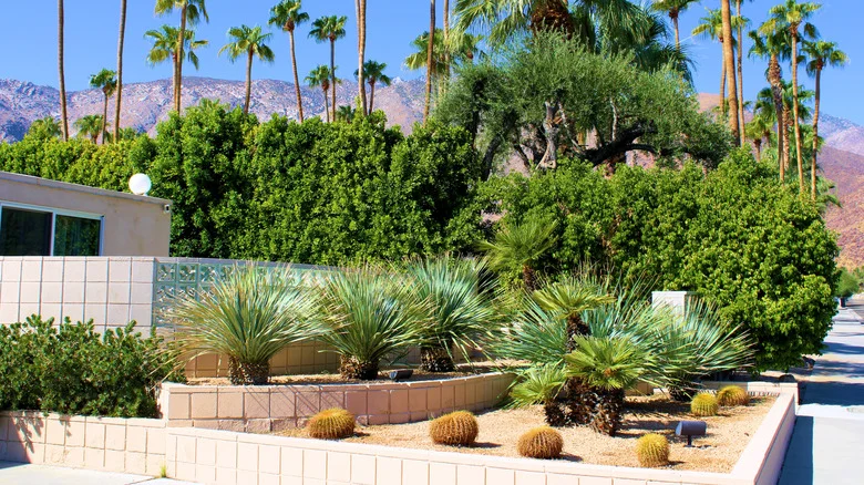 12 Ways To Have A Garden – Even If You Live In A Desert
