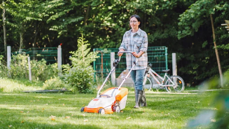 12 Ways To Transform A Lackluster Lawn Into A Stunning Green Oasis