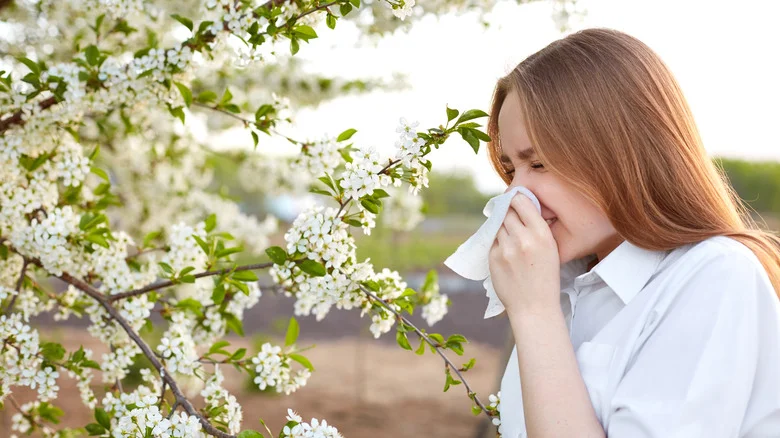 13 Beautiful Plants That Could Be Causing That Awful Smell In Your Yard