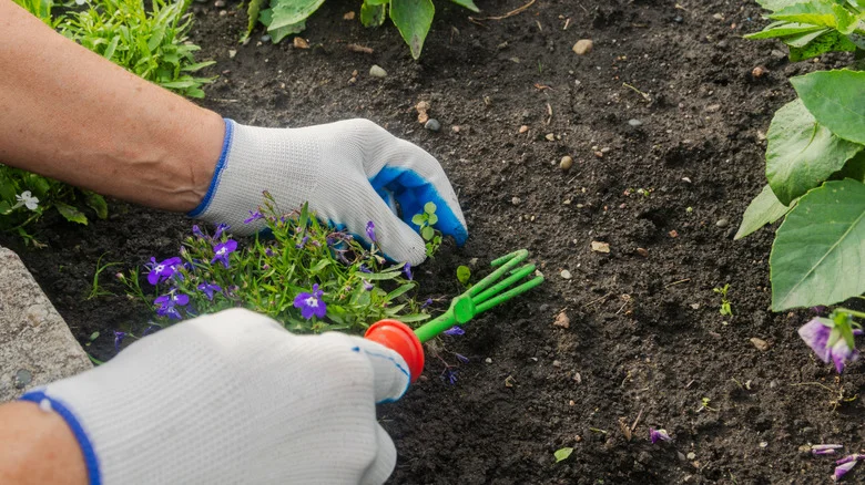 13 Foolproof Ways To Get Rid Of And Prevent Weeds From Growing In Flower Beds