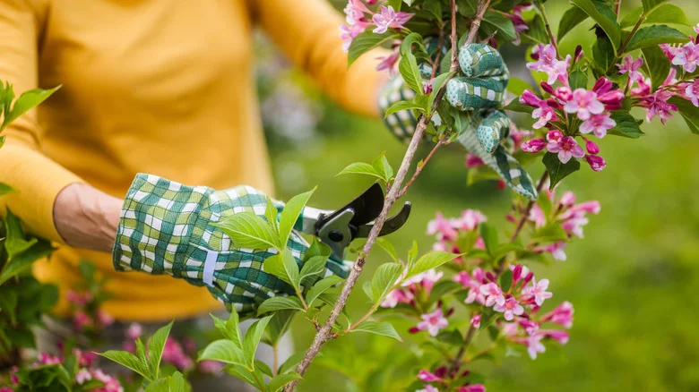 13 Summer Gardening Mistakes That Are Ruining Your Perennials