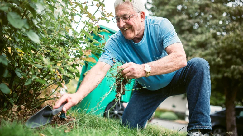 14 Common Kitchen Ingredients You Can Use To Tackle The Weeds In Your Lawn
