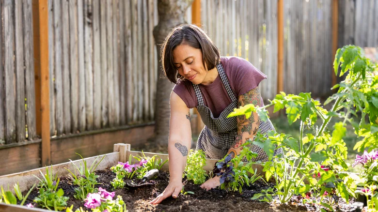 14 Infused Water Fertilizers Proven To Naturally Improve Soil