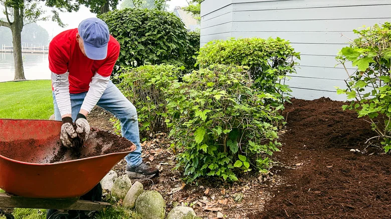 14 Landscaping Trends That Will Make Your Home And Yard Look Outdated In 2026