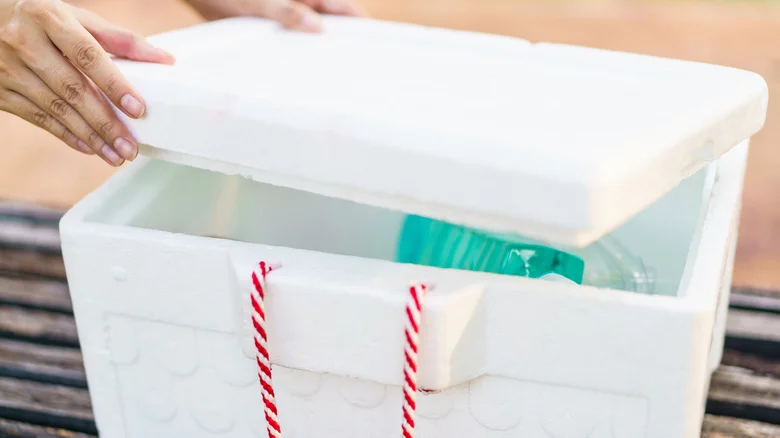14 Ways To Repurpose Your Old Cooler At The End Of Summer Instead Of Throwing It Away