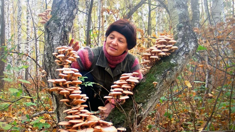 15 Common Mushrooms That Grow On Trees In Your Yard