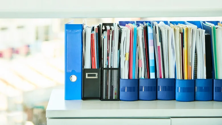 15 Creative Ways You Should Be Repurposing Magazine Holders Around The House