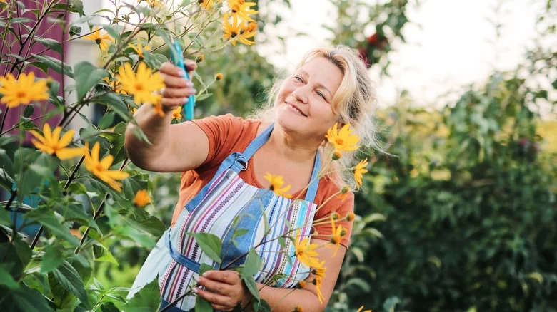 15 Flowering Companion Plants That Can Ward Off Pests From Garden Cucumbers