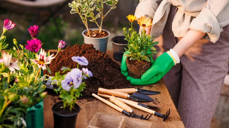 15 Garden Essentials For A Beginner That You Can Get From Costco