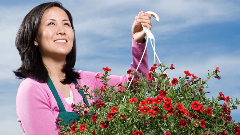 15 Hanging Basket Flowers That Will Look Perfect On Your Porch