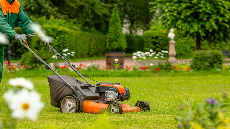 15 Highly-Rated Tractor Supply Finds For A Better-Looking Yard