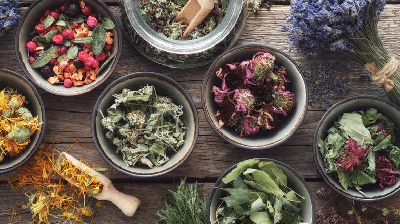 15 Plants You Can Grow That Are Great For Homemade Herbal Tea