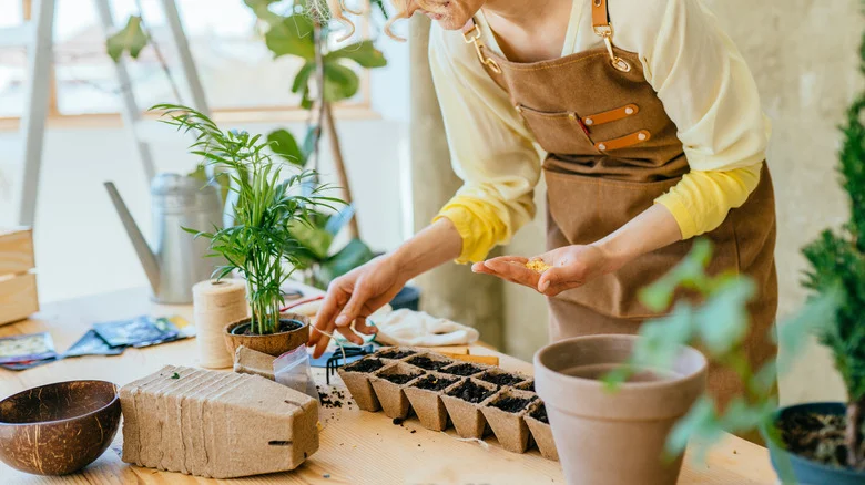 15 Plants You Should Start Sowing In Late Winter To Set Your Garden Up For Success