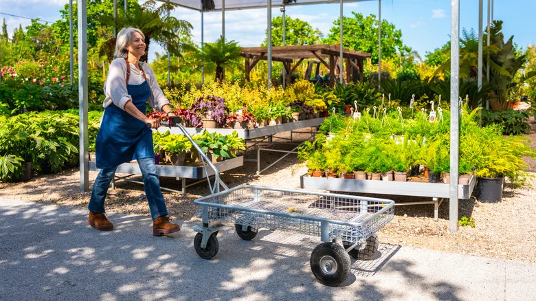 15 Spring Items From Lowe’s Smart Homeowners Should Stock Up On