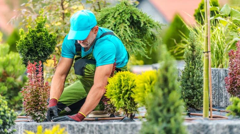15 Things Professional Landscapers Wish You Knew