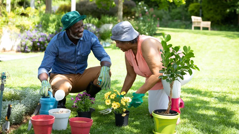 15 Unique Flowers That Will Have Your Neighbors Staring