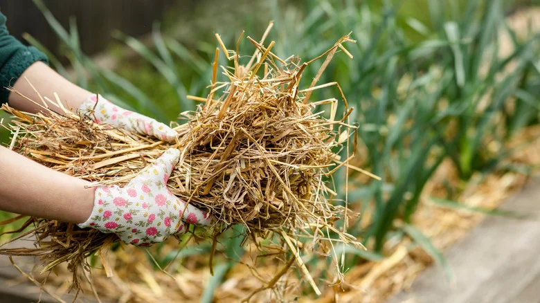 16 Ancient Techniques That Deserve A Place In Your Garden