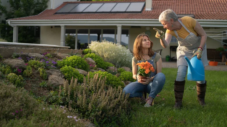 16 Ways To Improve Curb Appeal Without The Hassle Of Landscaping Contractors
