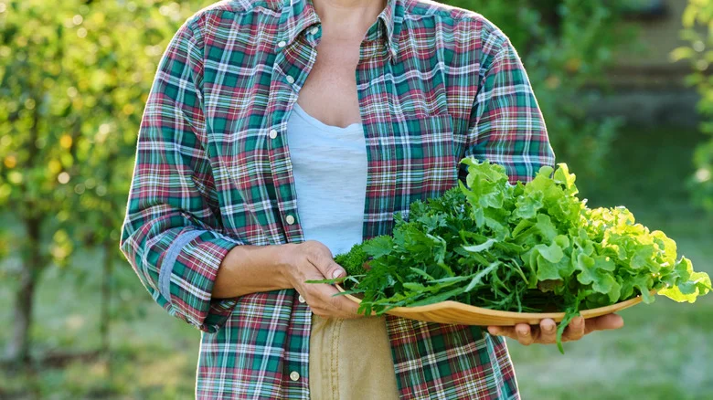 17 Edible Ground Cover Plants That’ll Make Your Garden Look (And Taste) Amazing